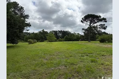 9.76 Acs Rabon Rd., Aynor, SC 29511 - Photo 5