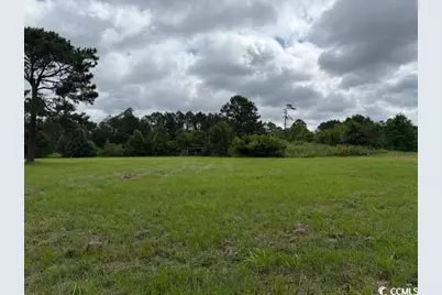 9.76 Acs Rabon Rd., Aynor, SC 29511 - Photo 7