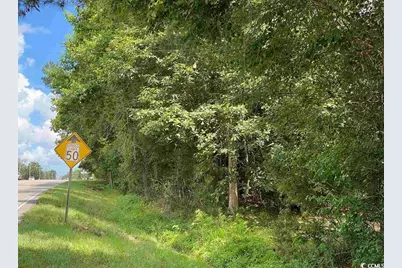 Tbd Highway 378, Conway, SC 29527 - Photo 5
