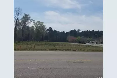 Tbd Highway 378, Conway, SC 29527 - Photo 3