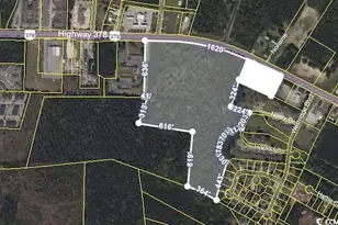 Tbd Hwy 378, Conway, SC 29527 - Photo 1