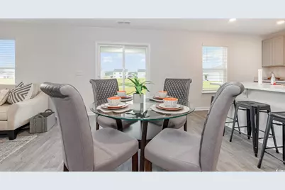 579 Strawberry Field Way, Galivants Ferry, SC 29544 - Photo 7