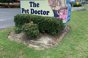 2321 Dick Pond Rd, Myrtle Beach, SC 29575 - Photo 1