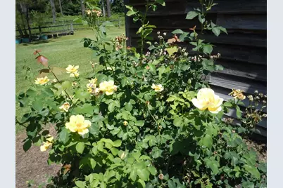 8202 Joe Brown Hwy. S, Clarendon, NC 28432 - Photo 37