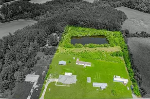 2829 Hwy 129, Galivants Ferry, SC 29544 - Photo 37