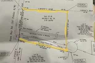 3353 Fries Bay Rd, Loris, SC 29569 - Photo 11