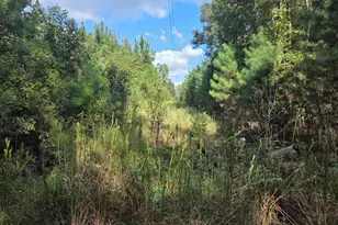 742 SE Hebron Dr, Conway, SC 29527 - Photo 11