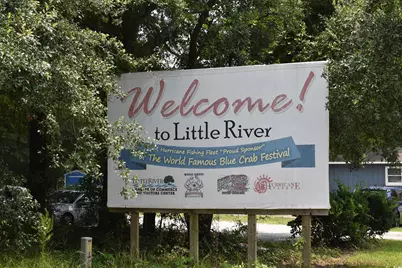 4396 Baldwin Ave., Little River, SC 29566 - Photo 13