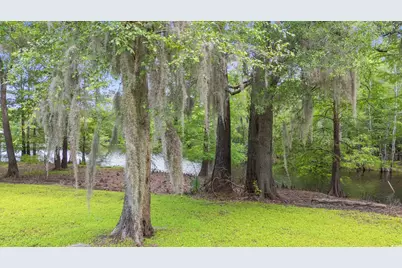 1032 Chelsey Circle, Conway, SC 29526 - Photo 31