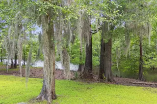 1032 Chelsey Cir, Conway, SC 29526 - Photo 31