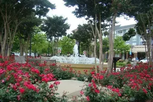 5867 Rosewood Dr, Myrtle Beach, SC 29588 - Photo 39