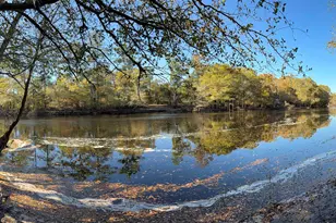 2879 Waccamaw Cove, Longs, SC 29568 - Photo 3