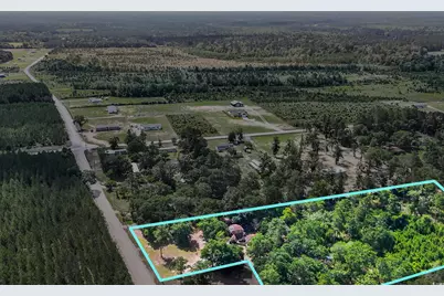 10381 Hardwick Rd., Nichols, SC 29581 - Photo 19