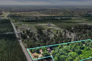 10381 Hardwick Rd, Nichols, SC 29581 - Photo 19