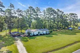 3985 South Green Sea Rd, Aynor, SC 29511 - Photo 29