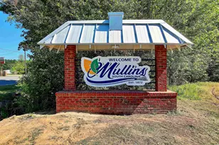 1206 French Rd, Mullins, SC 29574 - Photo 31