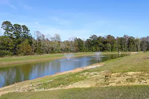 168 Bolsin Ct, Conway, SC 29526 - Photo 25