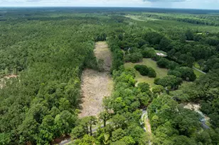 Tbd South Island Rd, Georgetown, SC 29440 - Photo 1