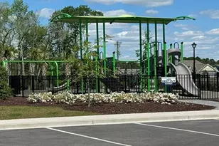 3525 Ashridge Wy, Conway, SC 29526 - Photo 29