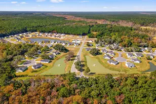 165 Double Pond Dr, Georgetown, SC 29440 - Photo 21