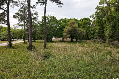 Tract 2 Little River Neck Rd., North Myrtle Beach, SC 29582 - Photo 5
