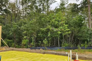 1415 Gooseneck Pl, Murrells Inlet, SC 29576 - Photo 33