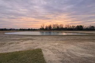 3376 Gurley Rd, Loris, SC 29569 - Photo 39