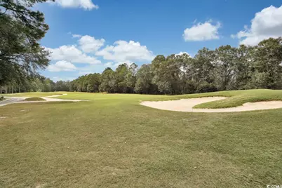 990 Cherrystone Loop, Conway, SC 29526 - Photo 27