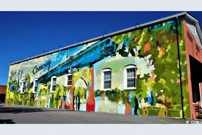 990 Cherrystone Loop, Conway, SC 29526 - Photo 39