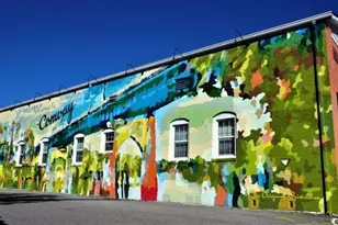 990 Cherrystone Loop, Conway, SC 29526 - Photo 39