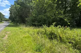 Tbd Society Dr, Conway, SC 29527 - Photo 1