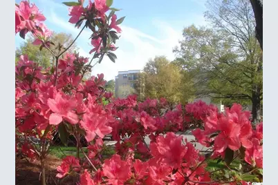 5001 Little River Rd. #E-110, Myrtle Beach, SC 29577 - Photo 17