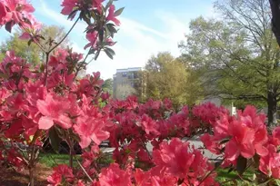 5001 Little River Rd, Myrtle Beach, SC 29577 - Photo 17