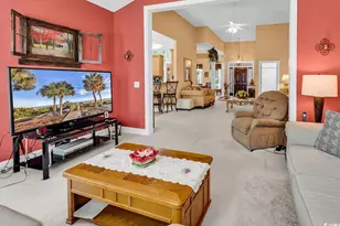 509 Sparkleberry Dr, Murrells Inlet, SC 29576 - Photo 19