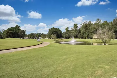 997 Cherrystone Loop, Conway, SC 29526 - Photo 33