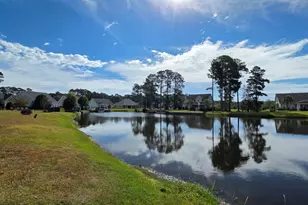 1817 Wood Stork Dr, Conway, SC 29526 - Photo 3