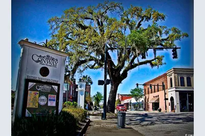 1817 Wood Stork Dr., Conway, SC 29526 - Photo 23