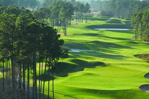 1017 Clamour Ct, Conway, SC 29526 - Photo 33