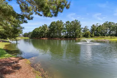 329 Blue Rock Dr., Longs, SC 29568 - Photo 37