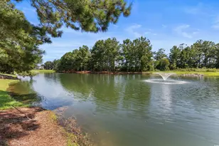 329 Blue Rock Dr, Longs, SC 29568 - Photo 37