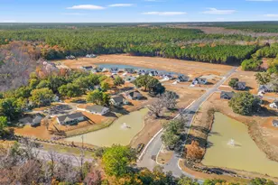 270 Six Mile Crk Dr, Georgetown, SC 29440 - Photo 21