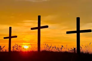 6001 - N65 S Kings Hwy, Myrtle Beach, SC 29575 - Photo 39