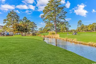 4635 Wild Iris Dr, Myrtle Beach, SC 29577 - Photo 31