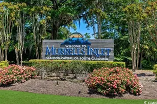 408 Fountain Grass Ct, Murrells Inlet, SC 29576 - Photo 17
