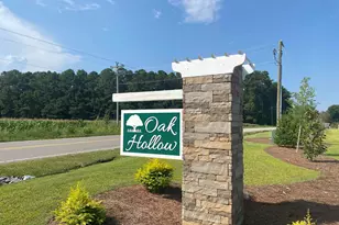 900 Birch Gdn Dr, Longs, SC 29568 - Photo 29