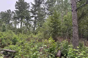 Lot 10-D McGregor Circle, Lake City, SC 29560 - Photo 1