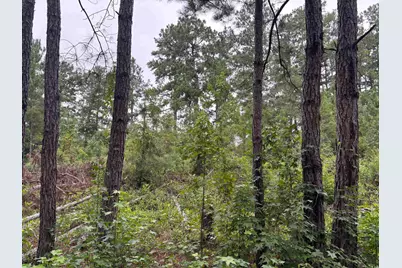 Lot 11-D McGregor Circle, Lake City, SC 29560 - Photo 1