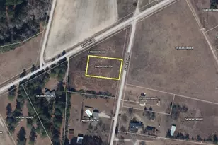 3485 Creech Rd, Marion, SC 29571 - Photo 39