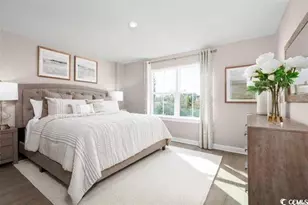 400 Fountain Grass Ct, Murrells Inlet, SC 29576 - Photo 11