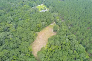 1582 Santee Rd, Andrews, SC 29510 - Photo 33